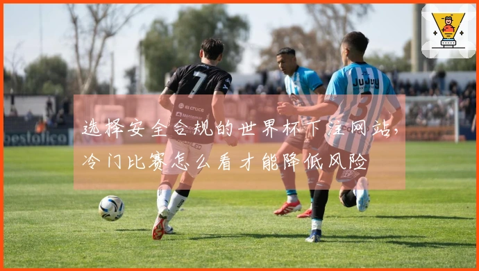 选择安全合规的世界杯下注网站，冷门比赛怎么看才能降低风险