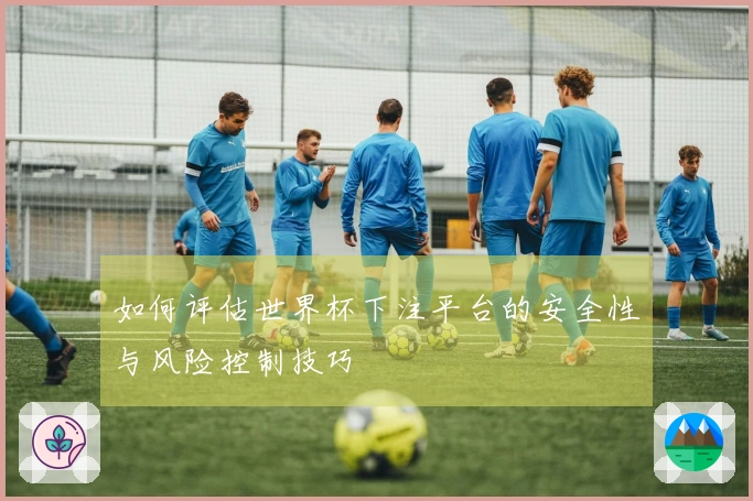如何评估世界杯下注平台的安全性与风险控制技巧